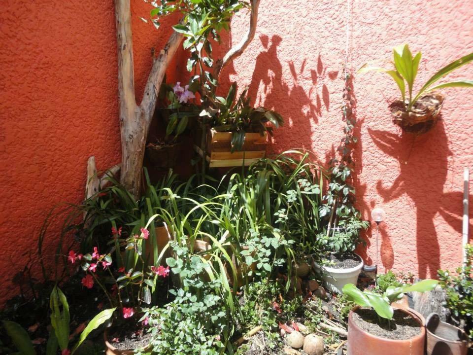 Hostal Del Carmen Villa de Leyva Buitenkant foto